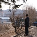 현충탑진입로 이미지