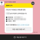 동마카서비스 | 미국 출장 준비 | 여권 사진, 여권 재발급, 국제 면허증 신청, 숙소 알아보기, 기타 근황 (스픽 영어공부)