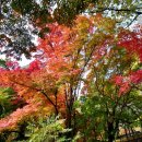 내장산 관광안내소 이미지