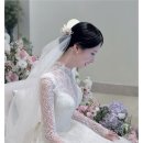 대구 웨딩플래너 추천 세위드플랜 sewithplan 후기💍💍