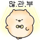 경기도 수원시 영통구 동수원로507번길 이미지