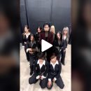 ✨️깜장 고양이들 ≽^𖧹𖧉𖧹^≼ ⟆ 사이에 섹시한 으른 아기치타🐯 이미지