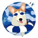 개편한집 이미지