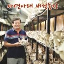 이남주자연아래버섯 네이버블로그