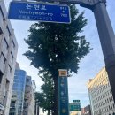 논현 피부관리 추천, 프롬미 강남본점에서 맞춤형 피부관리 받고 왔어요