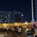 청사광장(청사프라자) | 대전 둔산동 야장맛집 청사광장 삼겹살에 술집 분위기 최고