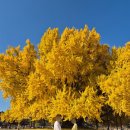 반계1리마을회관 이미지