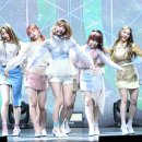 황하나아이즈