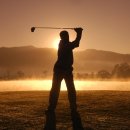 하와이스크린골프 이미지