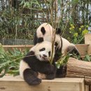 중앙로72번길 이미지