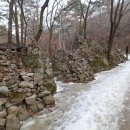 밀레군산영동점