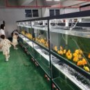 금어농장 이미지