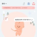 닥터스랜드의원 | 임신중기 17,18주차 증상 (맥락총낭종,태아뇌물혹,하이베베위치,임산부 쿠션추천, 불면증)