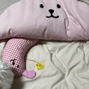 송설로L | [강아지방석 강아지베개] 타피 스너글 , 타피 필로우 후기