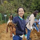 요선농장 이미지