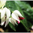 언양기와집불고기 이미지