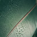 부안수상태양광발전소 | 한국 재생에너지 - 풍력, 태양광 발전소의 현주소와 미래