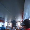 석문방조제 자귀나무 이미지