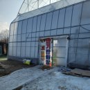 해마루농원 | 포천 딸기체험 - 해마루딸기농원