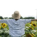 해바라기농장 이미지