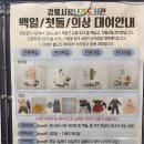 성덕동-7 | 강릉 장난감 도서관 백일상 대여 방문 후기