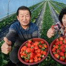 청도축산물