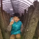 윤승호농장 Daum카페