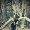 교보타워 이미지