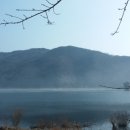홍삼이야기 네이버블로그