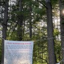 가족쉼터 공공캠핑장 이미지