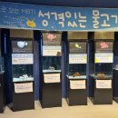 온평오션스퀘어 | 제주 아쿠아플라넷 기념품 할인방법 /온평바다 한그릇