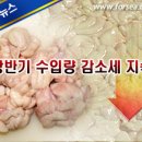 냉동 곤이(대구) 미국산 수입량 31% 감소 이미지