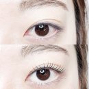 마곡나루역 속눈썹 펌 ★ 마곡나루역 속눈썹 샵 추천 /엘보떼/ 프리미엄 코롱 펌 솔직후기