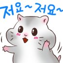 경성살롱 이미지