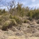 시곡3리 마을회관 이미지