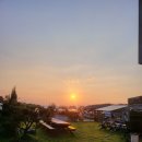 님 바래기 이미지