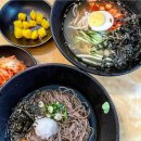 국수나무 이미지