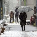 (주)전국유지 이미지