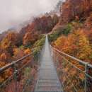 해외동포가 본 이재명–트럼프 양자회담 결과분석. 이미지