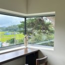 하일농장 | 강화도 데이트코스 추천 : 내돈내산 맛집 토가 &amp; 하우스하일 카페 &amp; 9월 제철 양도 포도농장