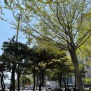 아이언스안경원 이미지