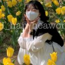 에이치클릭 이미지