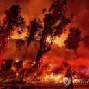 (주)미라투어
