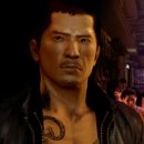 스퀘어독스 이미지