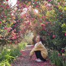 제주버스터미널 (동산교방면) | 제주도 아이와 6박7일 뚜벅이여행 일주일살기 겨울여행 코스 일정 경비