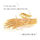 꽃이야기와 치유 이미지