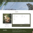 홈페이지제작 오아시스 네이버블로그
