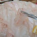 싱싱수산 네이버블로그
