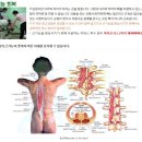 서울대왕초등학교 이미지