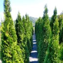 (주)드림애로우 이미지